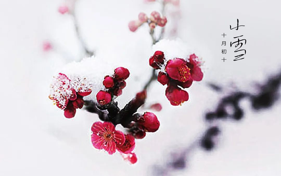 二十四節(jié)氣┃小雪 小雪天地清寒，境攬冬韻風(fēng)華